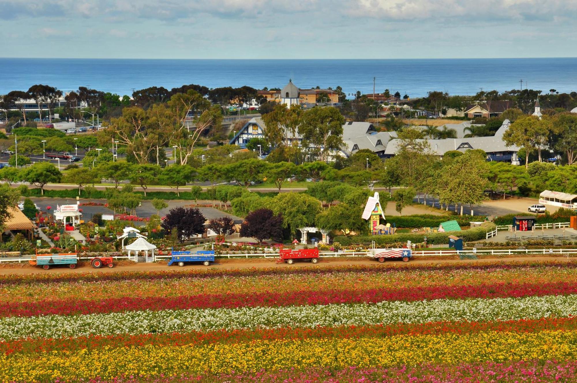 Grand Pacific Palisades Resort Carlsbad Exteriér fotografie